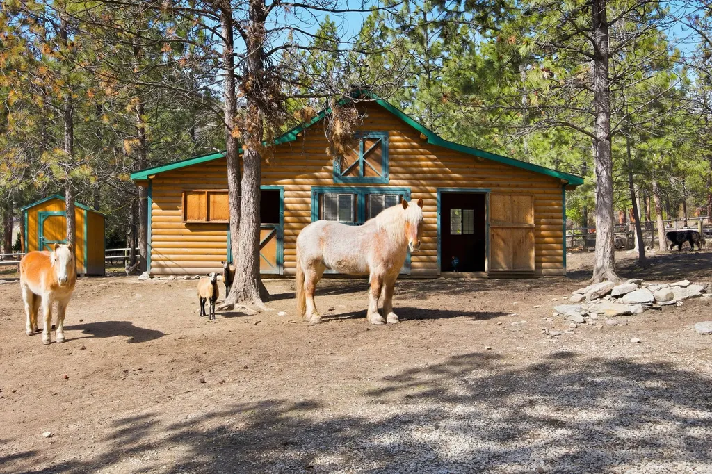 110 Mosey Lane Hamilton MT 59840