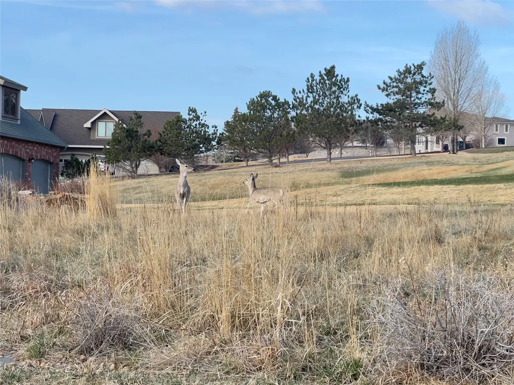 52 Spring Tree Road Great Falls MT 59404