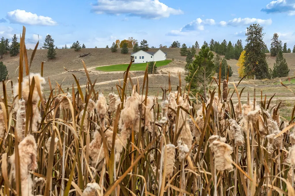 164 Barnwood Way Stevensville MT 59870