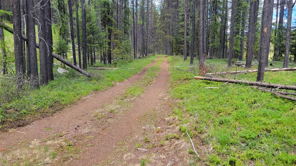 Nhn N Fork Yaak Road Yaak MT 59935