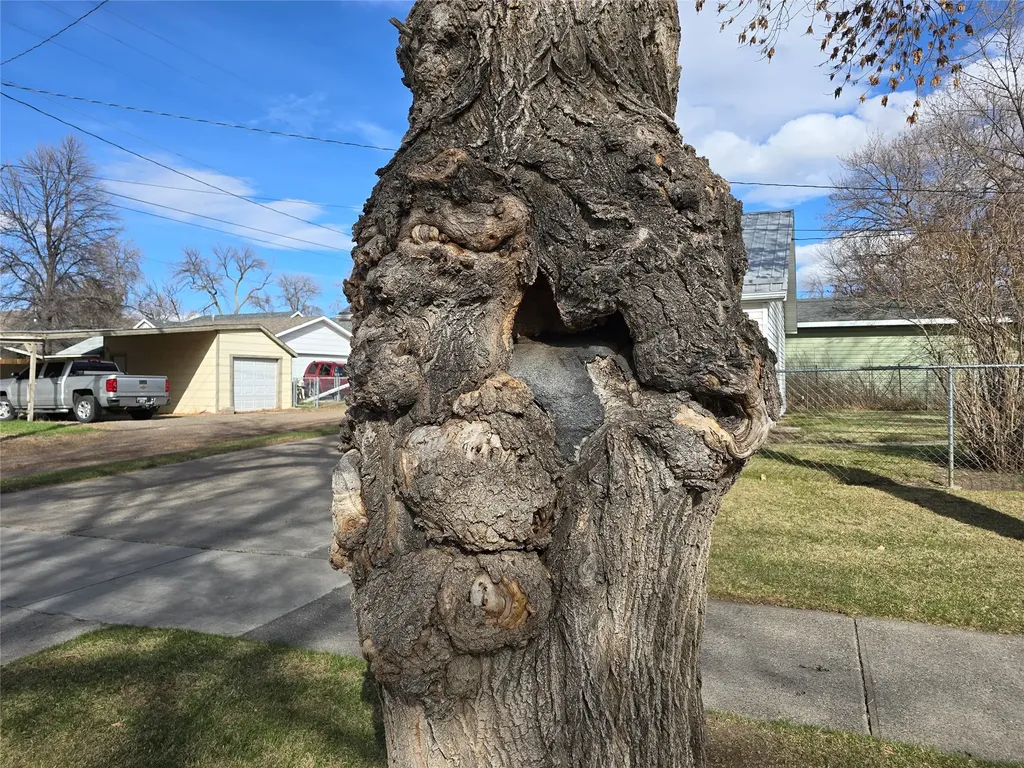 3101 1st Avenue S Great Falls MT 59401