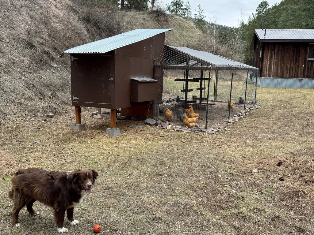 5775 Black Bear Road Helena MT 59602