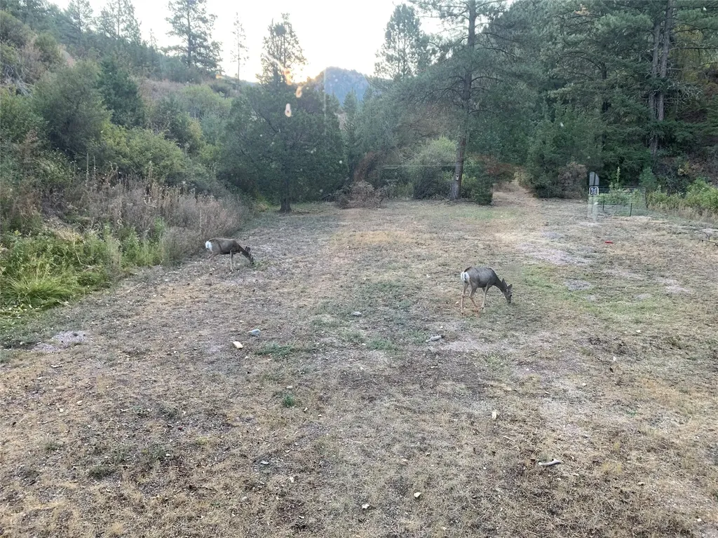 5775 Black Bear Road Helena MT 59602