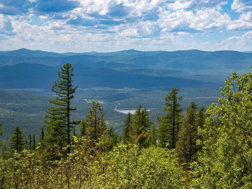 184 Orion Drive Whitefish MT 59937