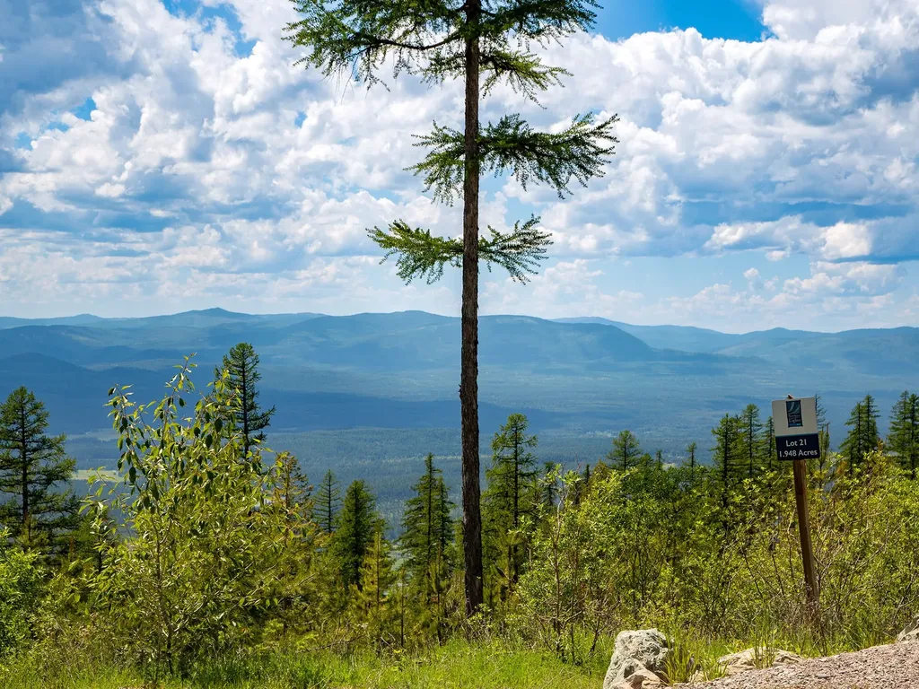 184 Orion Drive Whitefish MT 59937