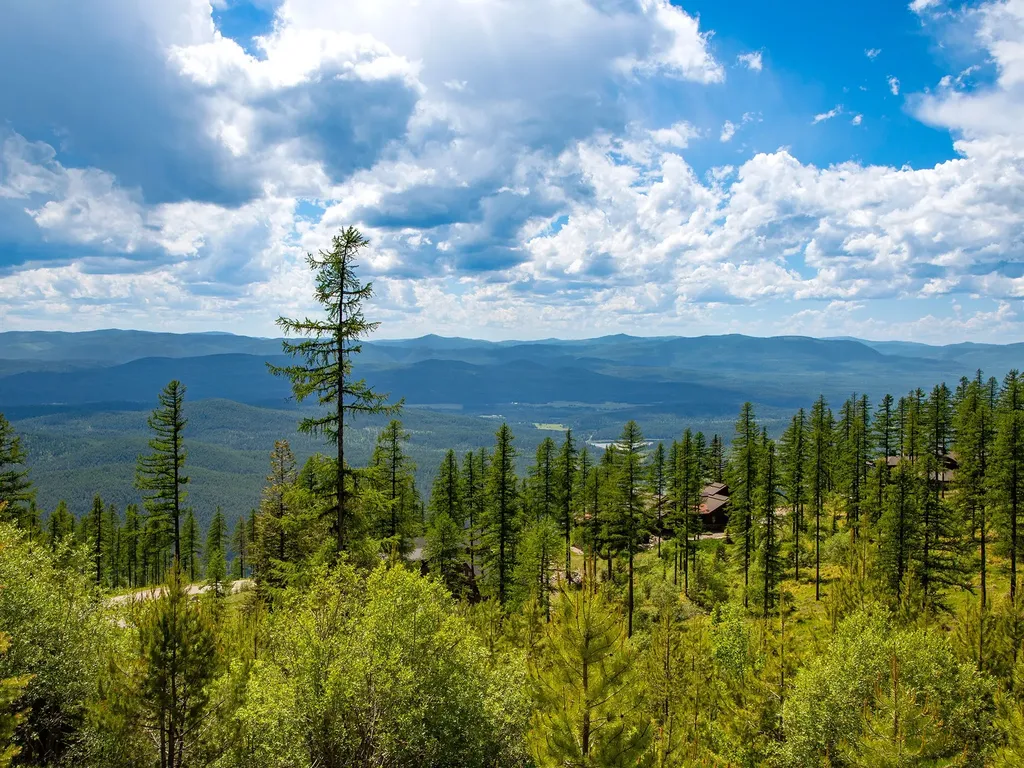 184 Orion Drive Whitefish MT 59937