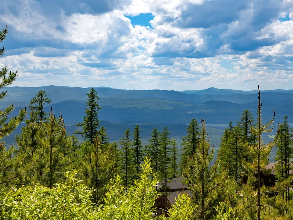 184 Orion Drive Whitefish MT 59937