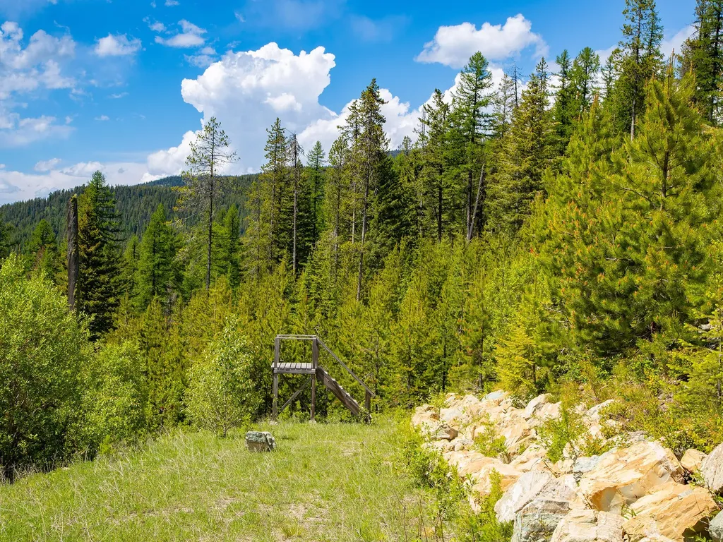 184 Orion Drive Whitefish MT 59937
