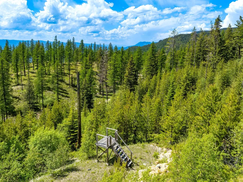 184 Orion Drive Whitefish MT 59937