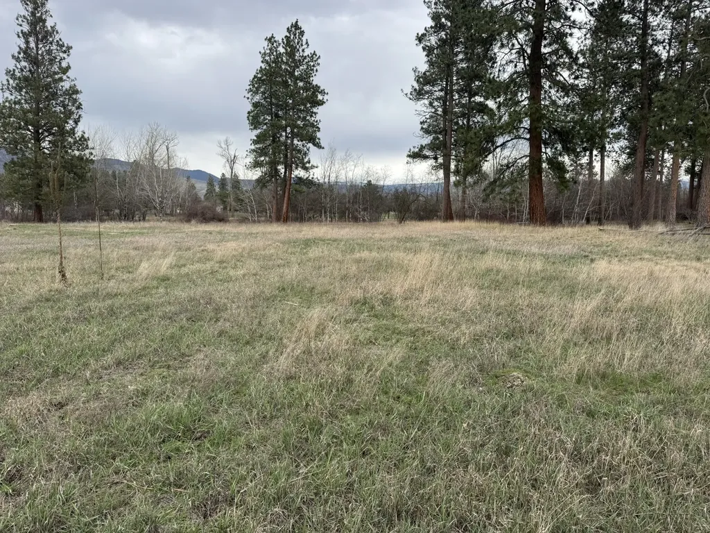 Nhn Two Moons Road Florence MT 59833