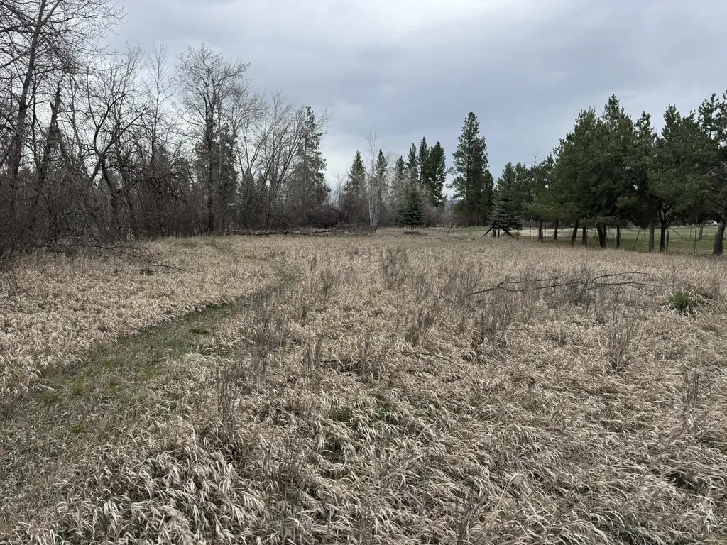 Nhn Two Moons Road Florence MT 59833