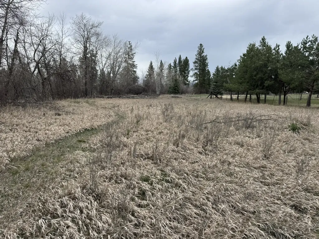 Nhn Two Moons Road Florence MT 59833