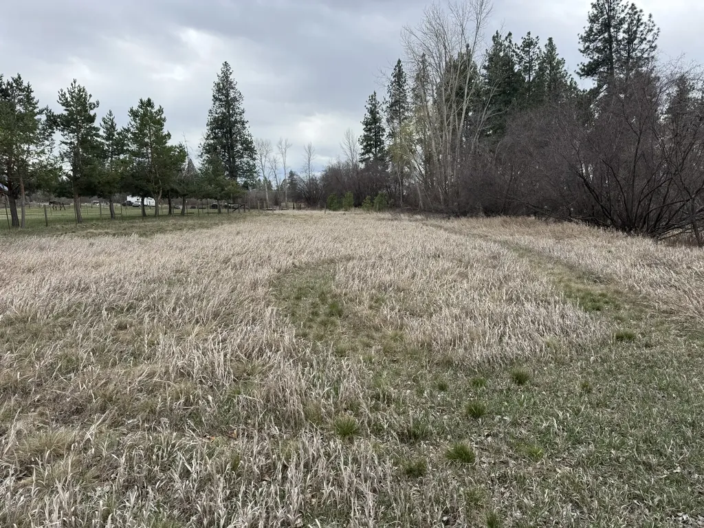 Nhn Two Moons Road Florence MT 59833