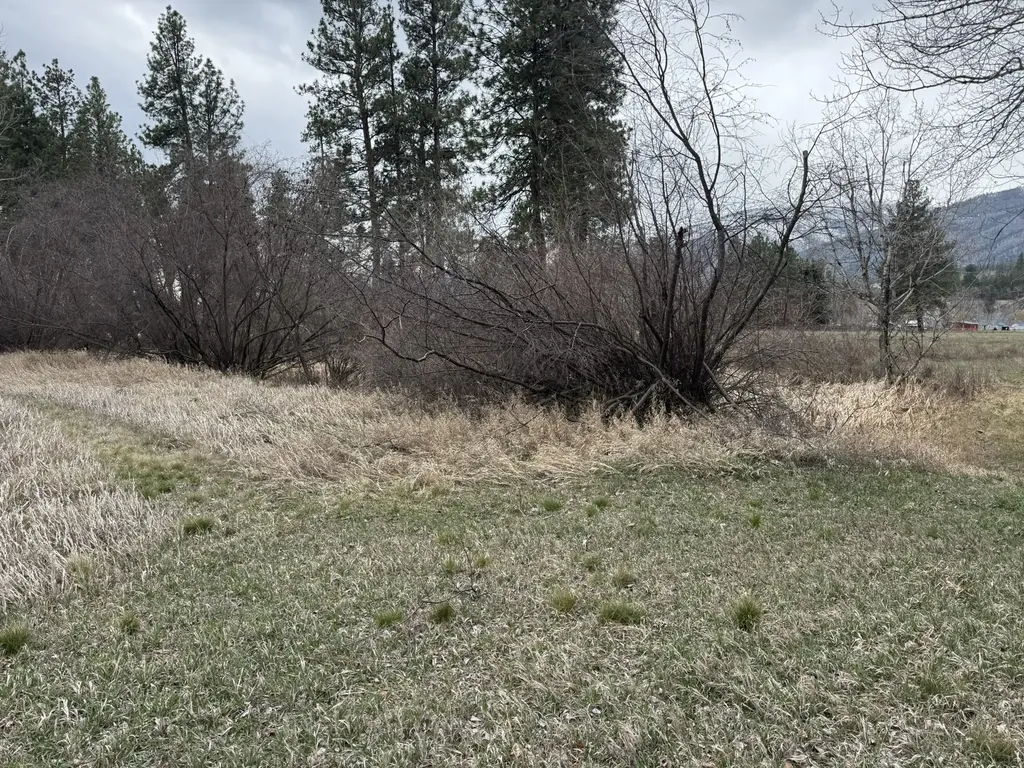 Nhn Two Moons Road Florence MT 59833