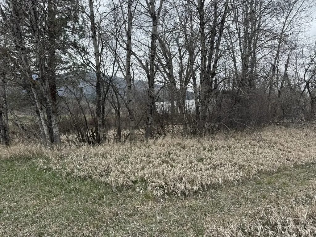 Nhn Two Moons Road Florence MT 59833