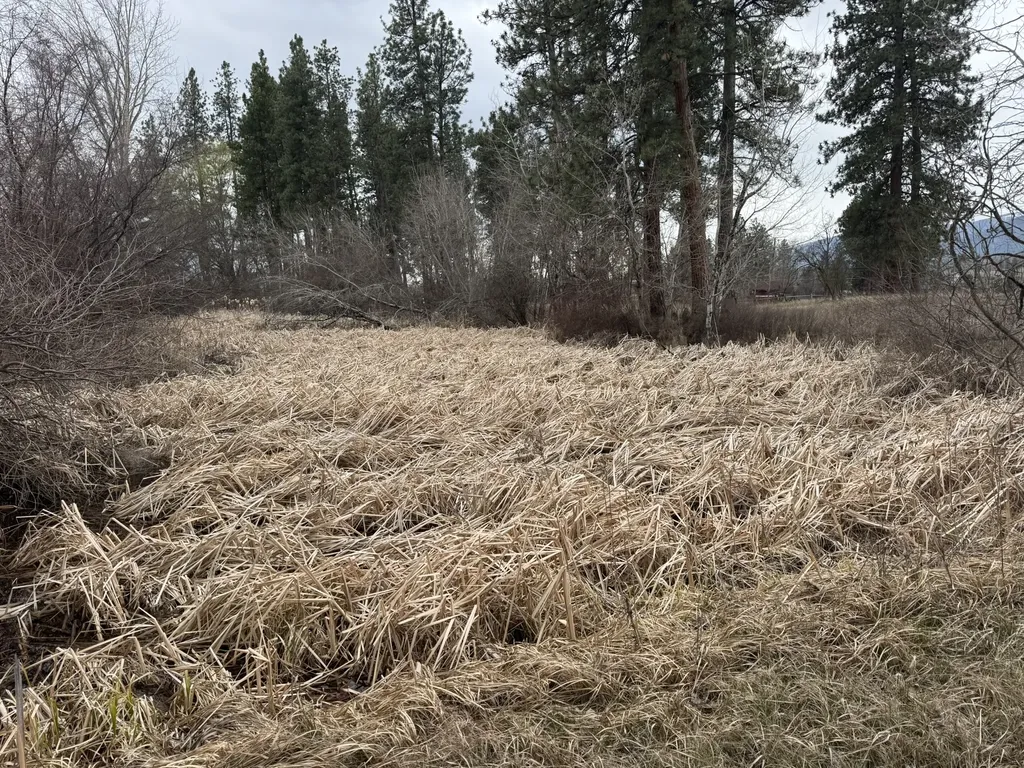 Nhn Two Moons Road Florence MT 59833