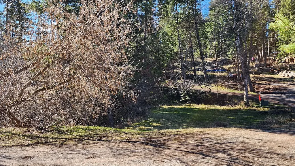 564 W Village Drive Bigfork MT 59911