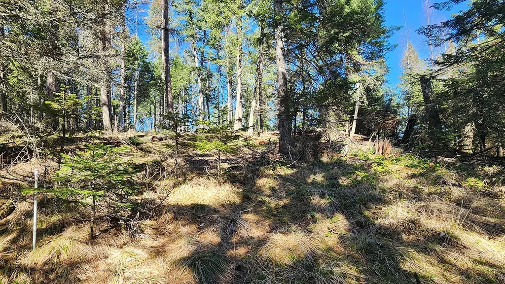 564 W Village Drive Bigfork MT 59911