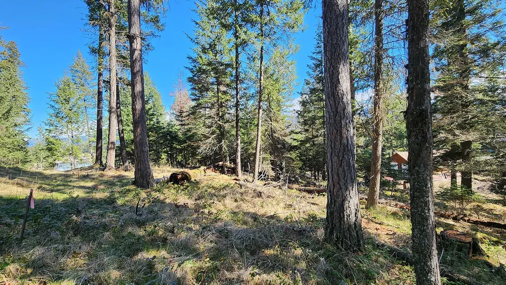 564 W Village Drive Bigfork MT 59911