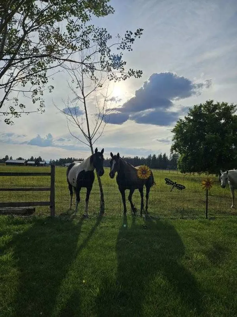 3075 Mount Highway 206 Columbia Falls MT 59912