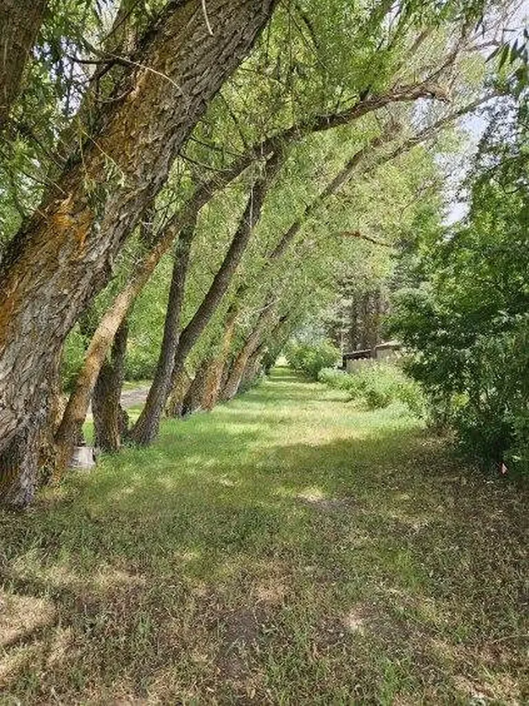 3075 Mount Highway 206 Columbia Falls MT 59912