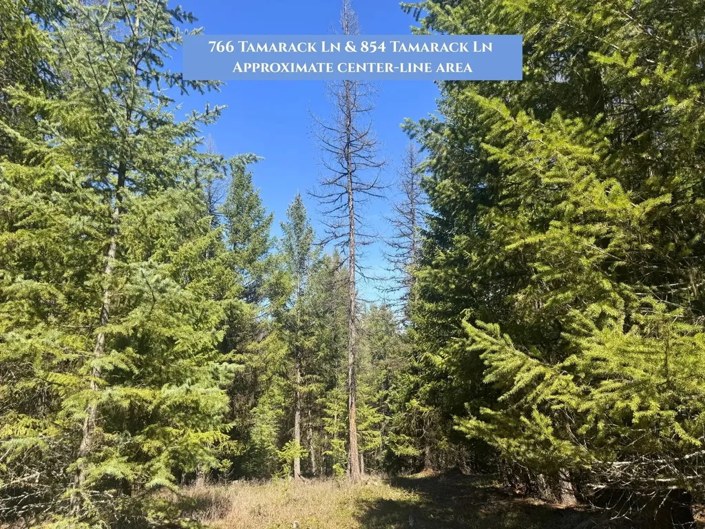 766 Tamarack Lane Rexford MT 59930