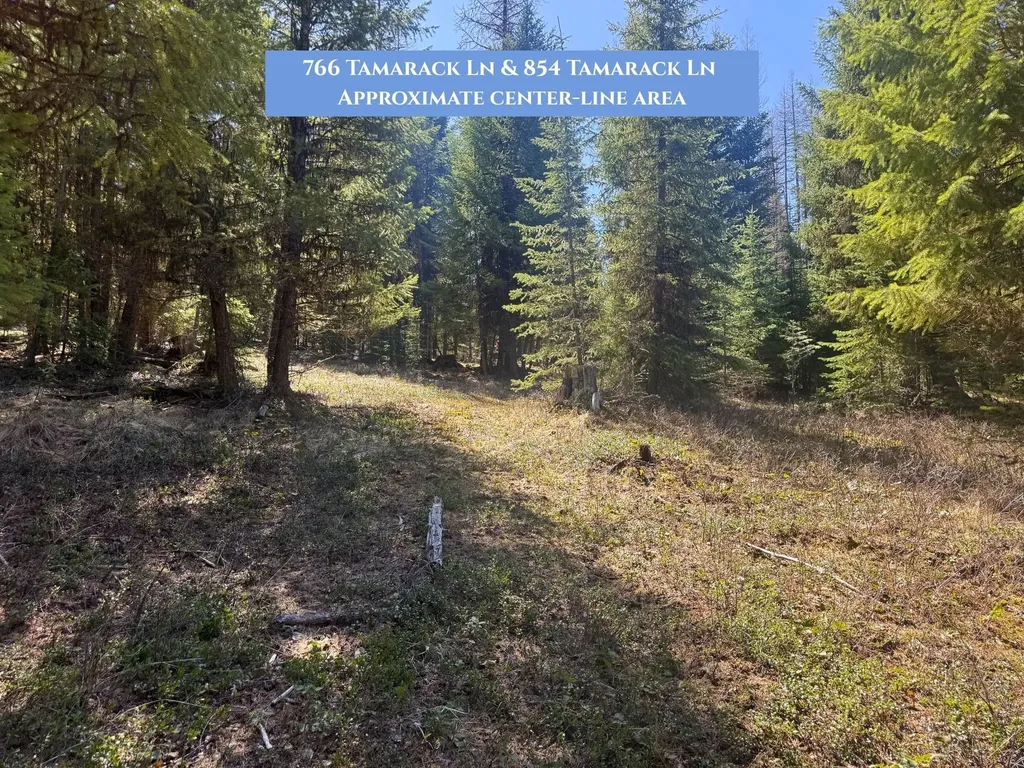 766 Tamarack Lane Rexford MT 59930