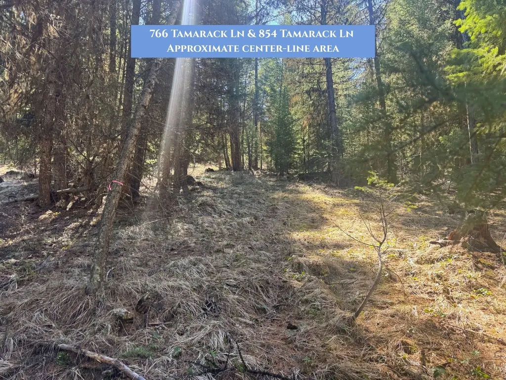 766 Tamarack Lane Rexford MT 59930