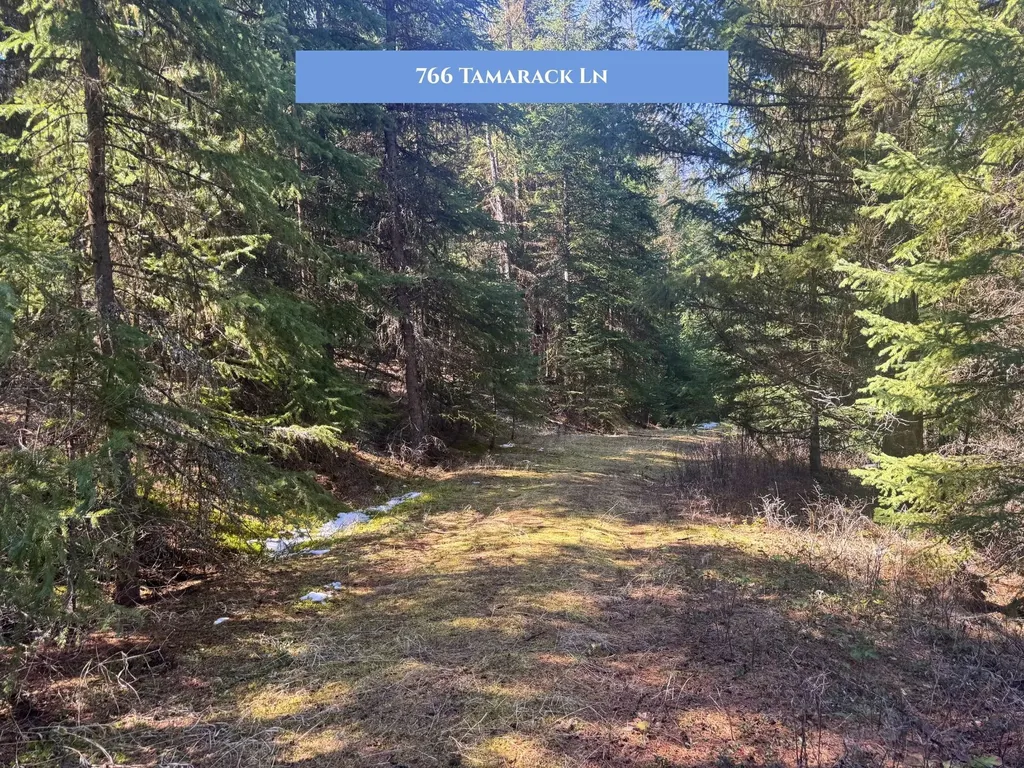 766 Tamarack Lane Rexford MT 59930