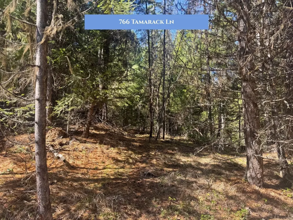 766 Tamarack Lane Rexford MT 59930