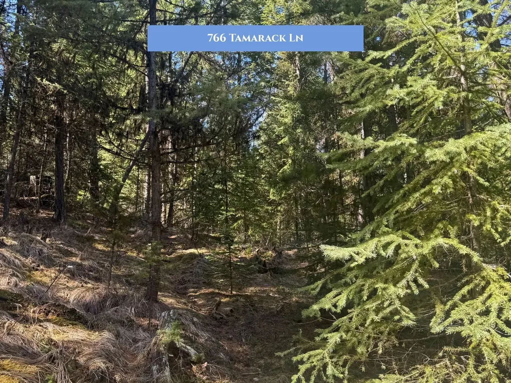 766 Tamarack Lane Rexford MT 59930