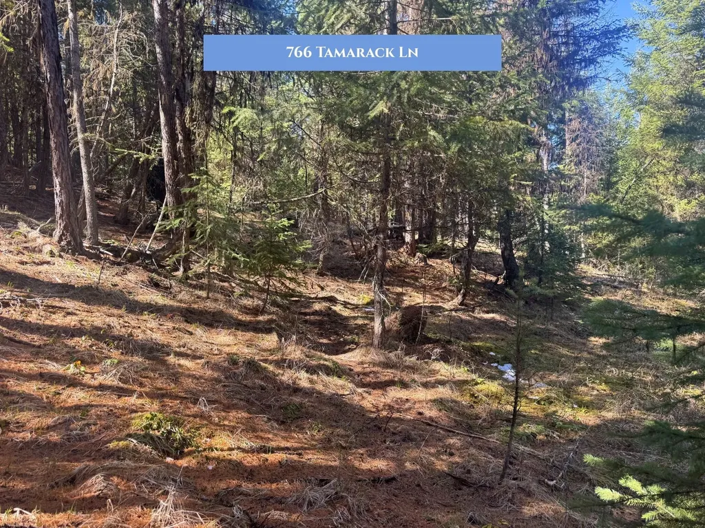 766 Tamarack Lane Rexford MT 59930