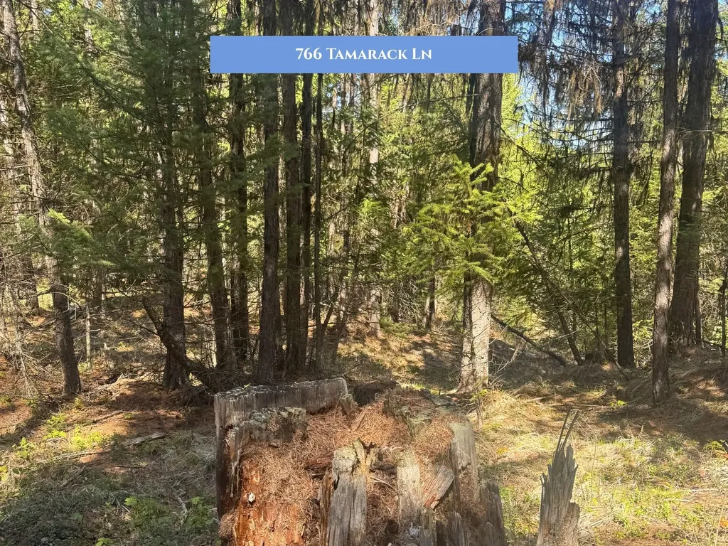 766 Tamarack Lane Rexford MT 59930