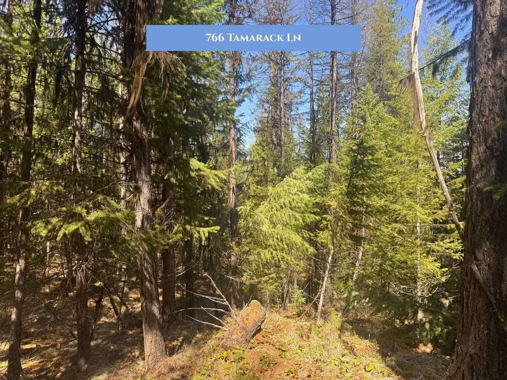 766 Tamarack Lane Rexford MT 59930