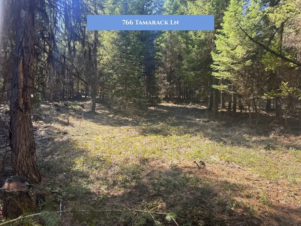 766 Tamarack Lane Rexford MT 59930