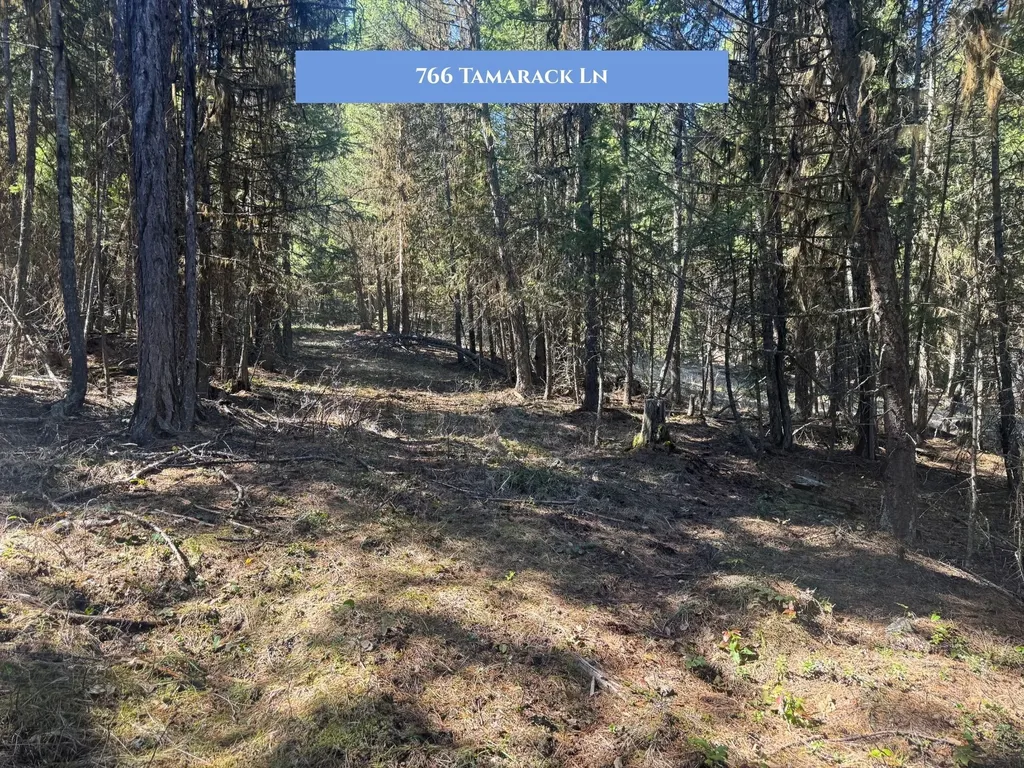 766 Tamarack Lane Rexford MT 59930
