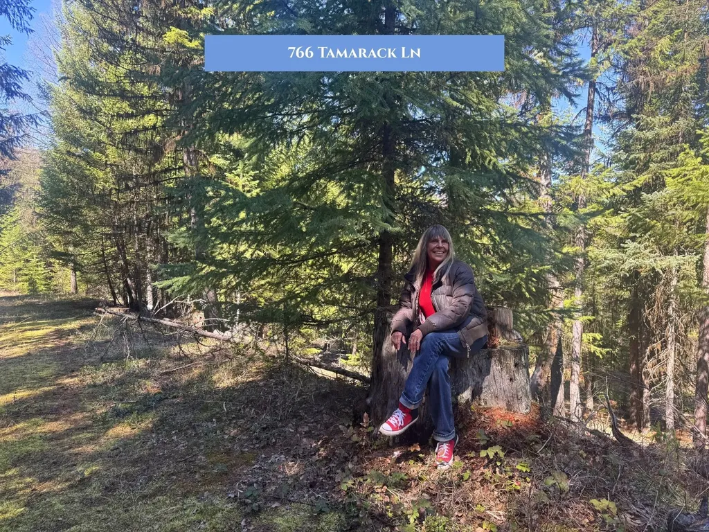 766 Tamarack Lane Rexford MT 59930