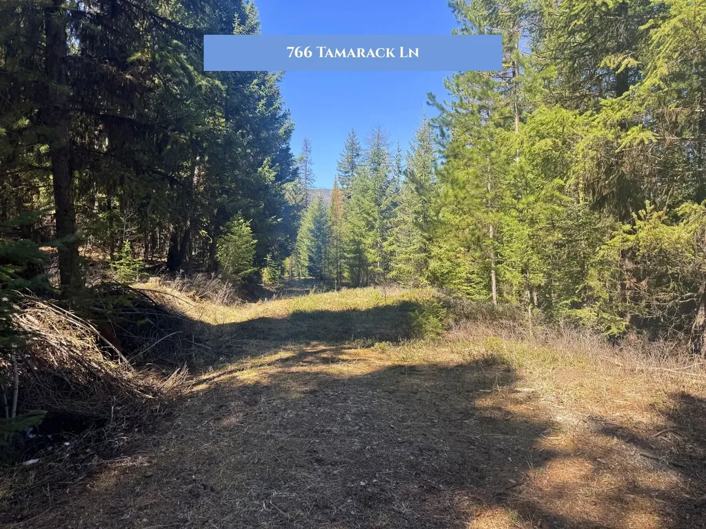 766 Tamarack Lane Rexford MT 59930