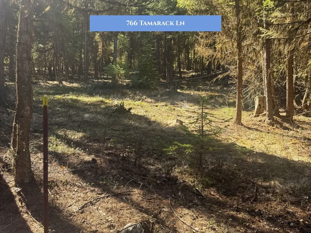 766 Tamarack Lane Rexford MT 59930