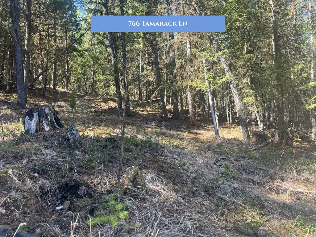 766 Tamarack Lane Rexford MT 59930