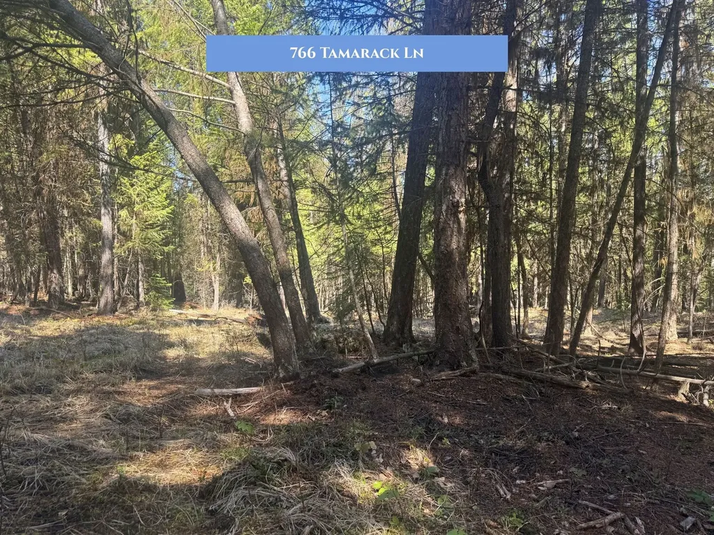 766 Tamarack Lane Rexford MT 59930