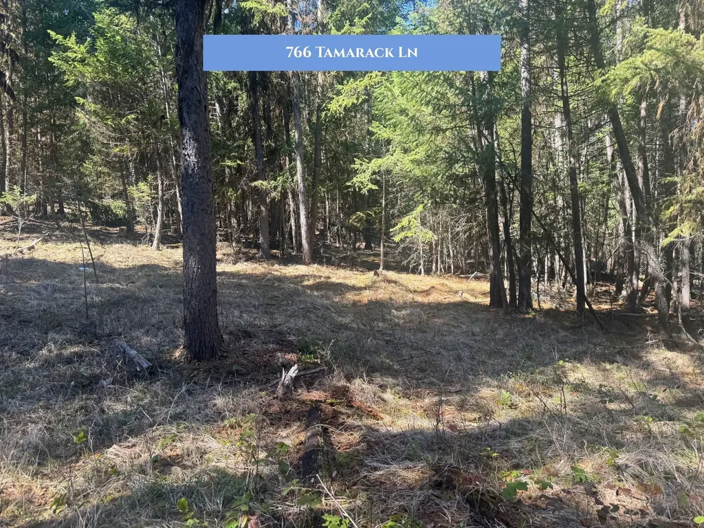766 Tamarack Lane Rexford MT 59930