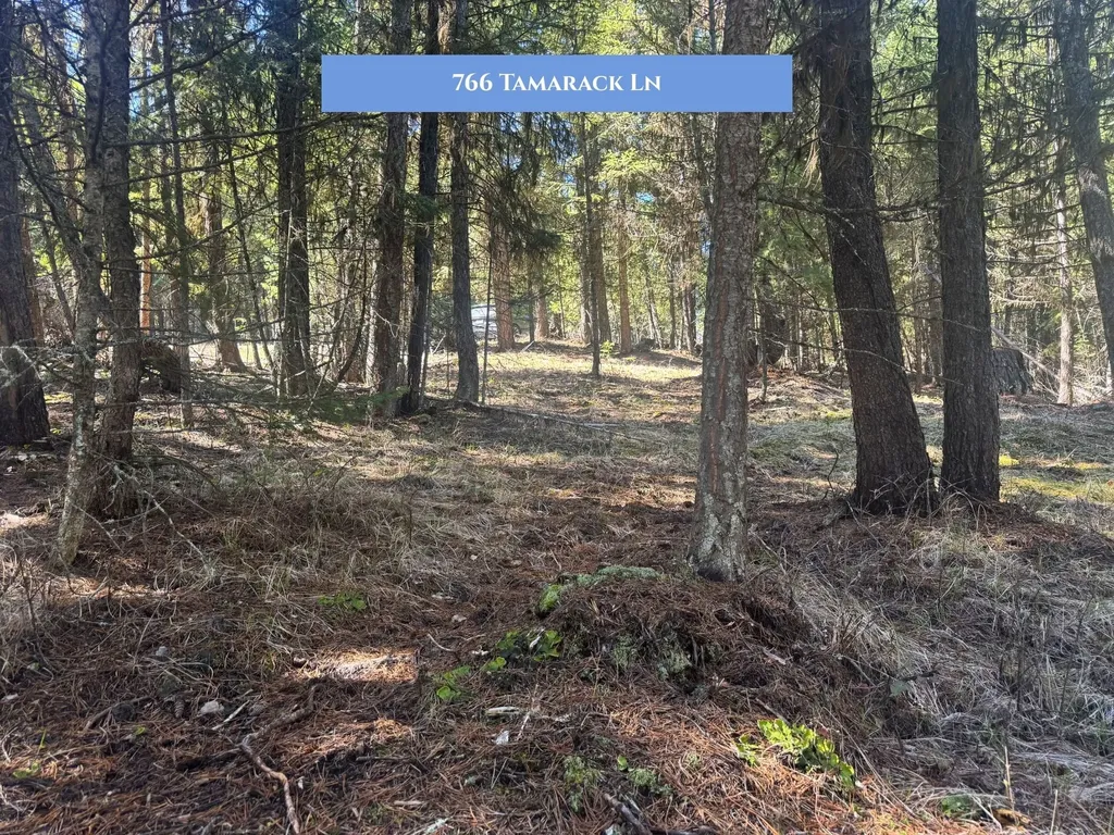 766 Tamarack Lane Rexford MT 59930