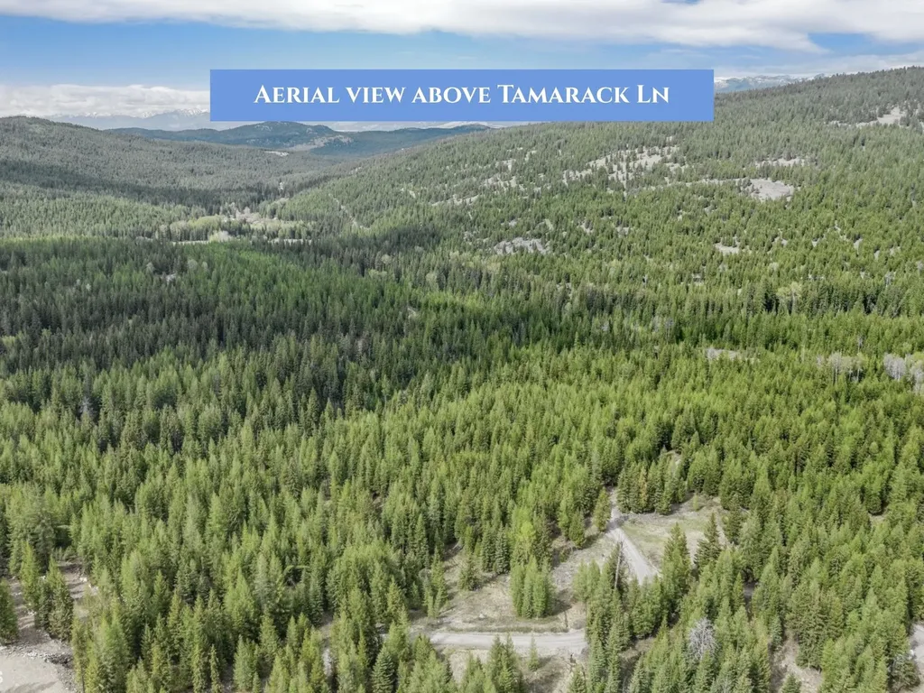 766 Tamarack Lane Rexford MT 59930