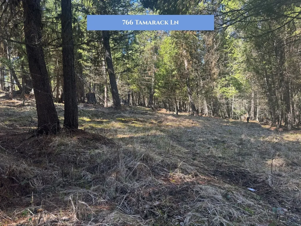 766 Tamarack Lane Rexford MT 59930