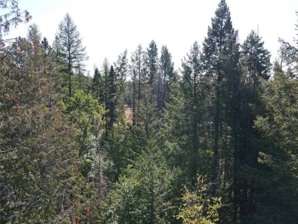 2588 Big Mountain Road Whitefish MT 59937