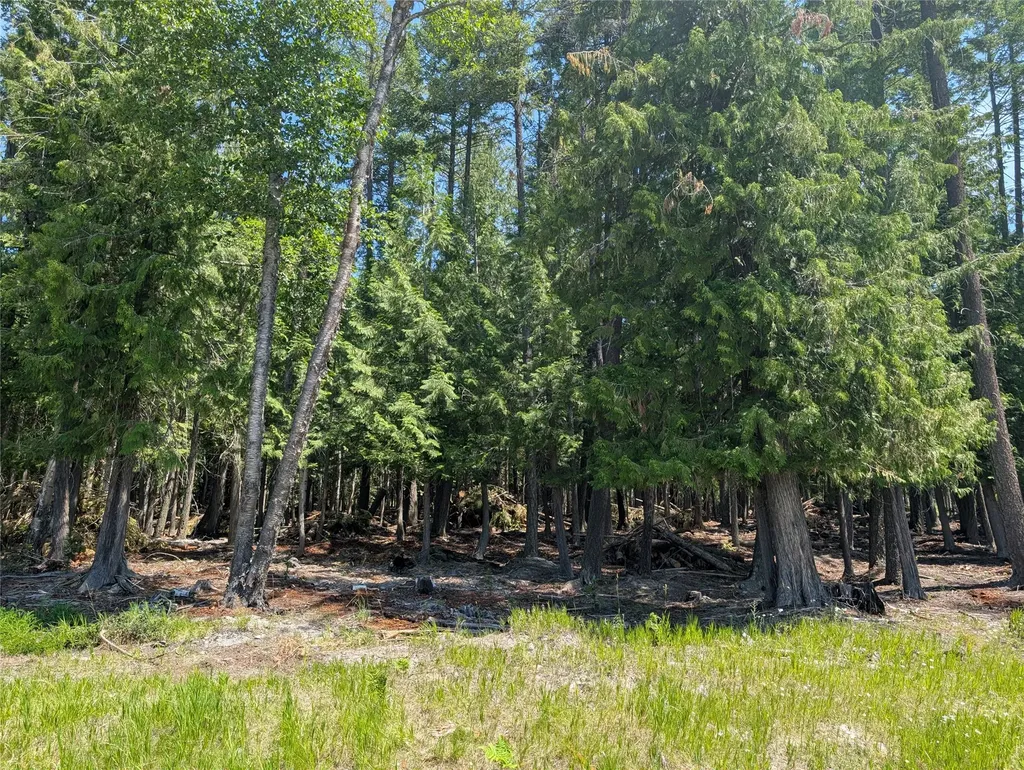 2588 Big Mountain Road Whitefish MT 59937