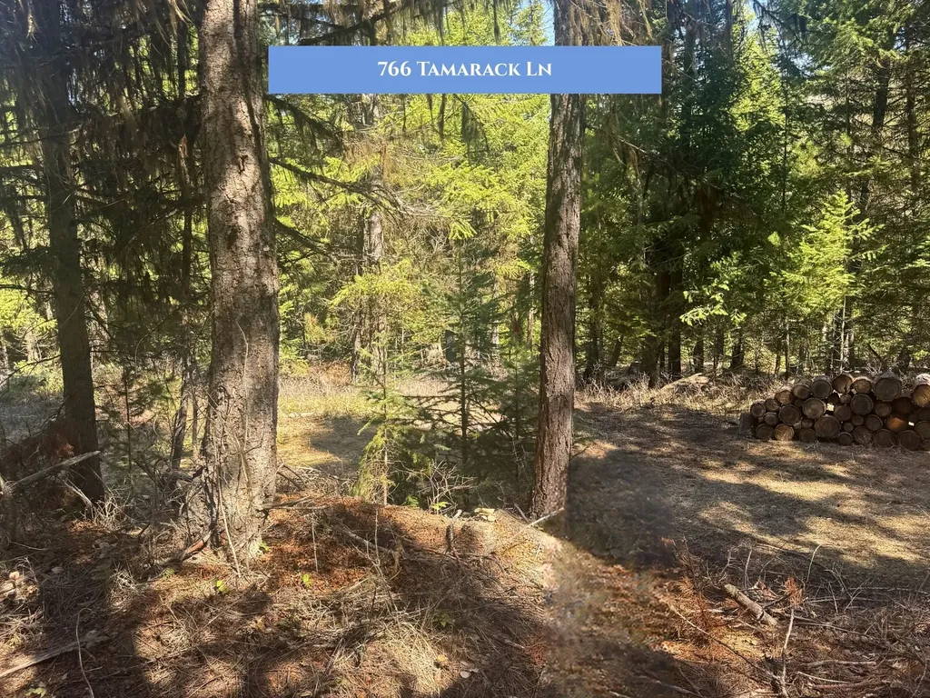 766 And 854 Tamarack Lane Rexford MT 59930