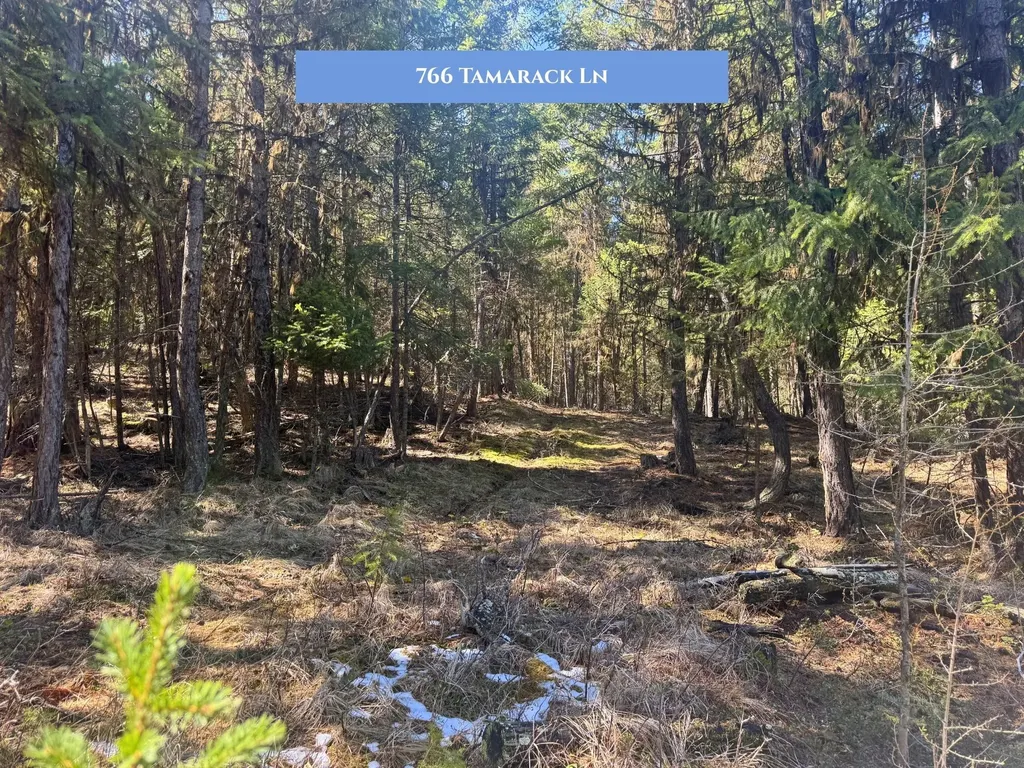 766 And 854 Tamarack Lane Rexford MT 59930