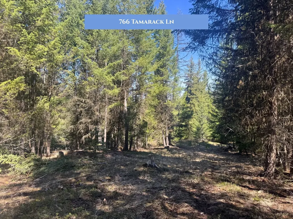 766 And 854 Tamarack Lane Rexford MT 59930